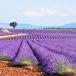 Provence Rundreise bis ins Languedoc für Genießer 