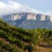 Gruppenreise Katalonien mit Priorat, Costa Durada und Costa Blanca