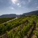 Gruppenreise Katalonien mit Priorat, Costa Durada und Costa Blanca