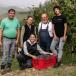 Piemont Rundreise: Turin, die Langhe und Monferrato für Selbstfahrer