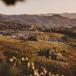 Piemont Rundreise: Turin, die Langhe und Monferrato für Selbstfahrer