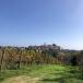 Piemont Rundreise: Turin, die Langhe und Monferrato für Selbstfahrer