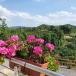 Genussvoller Kurzurlaub im Piemont - Langhe Reise für Genießer