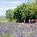 Geniesser Provenceurlaub Arles