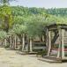 Luxus-Urlaub in der Provence