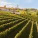 Übernachtung beim Winzer in Barolo