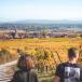 Champagne Gruppenreise für Genießer und Weinliebhaber