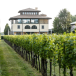 URLAUB AUF DEM WEINGUT! Entspannte Tage auf dem Wine-Resort Tenuta Luisa in der Genussregion Friaul