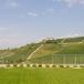 Das beste Hotel im Barolo Weingebiet. Übernachten direkt auf dem Weingut.
