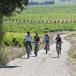 Urlaub im Rhônetal im edlen Château Gigognan: Wein und Kultur zwischen Châteauneuf-du-Pape und Avignon