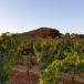 Urlaub in der Provence