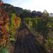 Übernachten Weingut Frankreich