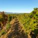 Urlaub in der Provence
