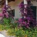 Urlaub in der Provence