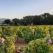 Romantische Ferienhäuser Provence