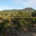 Urlaub in der Provence