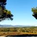 Reise für Weinliebhaber in die Provence