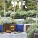 Gardasee Hotel mit Seeblick. Das stylische Eden Reserve thront über Gardone Riviera.