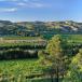 Geniesser Provenceurlaub Arles