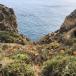 GOURMETREISE AN DIE ALGARVE: URLAUB AM MEER UNTER MICHELIN-STERNEN 