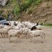 Genussvolle Gruppenreise Sizilien buchen - in kleiner Gruppe