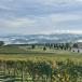 Piemonturlaub mit Private Spa und Blick auf die Reben: Hinreißende Boutique-Appartements Vineho in Barolo