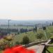 Kurzurlaub im Valpolicella: Reisfelder, Weinberge und das romantische Castrum Wine Relais