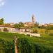 I Collirossi Monforte d'Alba: Weingut mit charmantem Agriturismo