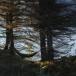 Privatinsel in den Fjorden: Villa für Liebhaber vom Meer und Meeresfrüchten in Norwegen