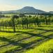 WEINREISE IN UNGARN: kulinarische Gruppenreise von Budapest, über Eger, Tokaj bis Badacsony