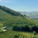 Gruppenreise Wein- und Kulturliebhaber im Baskenland und im Rioja