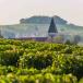 URLAUB BEIM WINZER IN DER CHAMPAGNE MIT DEGORGIER-KURS UND CHAMPAGNER-PAIRING 