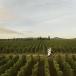 Meursault Hoteltipp