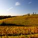URLAUB AUF DEM WEINGUT! Entspannte Tage auf dem Wine-Resort Tenuta Luisa in der Genussregion Friaul