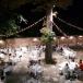 Urlaub am Meer mit Gourmetessen und Weinverkostung in Seebay Hotel in den Marken, Italien