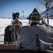 Pferdekutschfahrt Österreich (c) Saalfelden Leogang Touristik - Lemonmedia.jpg