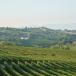 Piemonturlaub mit Private Spa und Blick auf die Reben: Hinreißende Boutique-Appartements Vineho in Barolo