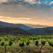 Gruppenreise Katalonien mit Priorat, Costa Durada und Costa Blanca