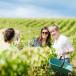 Champagne Gruppenreise für Genießer und Weinliebhaber