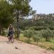 Geniesser Provenceurlaub Arles