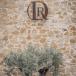 Reise Provence