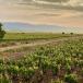 Gruppenreise Wein- und Kulturliebhaber im Baskenland und im Rioja