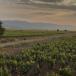 7 Tage Rioja Erlebnisreise mit Baskenland.