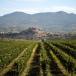 Gruppenreise Wein- und Kulturliebhaber im Baskenland und im Rioja
