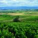 7 tägige Rioja Weinreise inklusive Bilbao und San Sebastian.