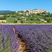 Provence Rundreise bis ins Languedoc für Genießer 