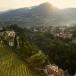Gruppenreise Verona, Padua und Südtirol 