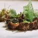 HIKE, BIKE & WINE IN SÜDTIROL! Faszinierendes Design- und Wellnesshotel mit Chefs Table Dinner!