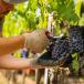 URLAUB IN DER TOSKANA: Boutiquehotel Montepulciano