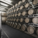 Slowenien Weinreise: Winepairing, Weinverkostung und Weinkellerei-Besuch.